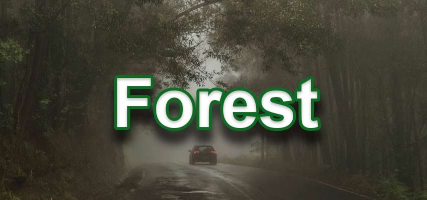 Forest text with fill colour and blending options