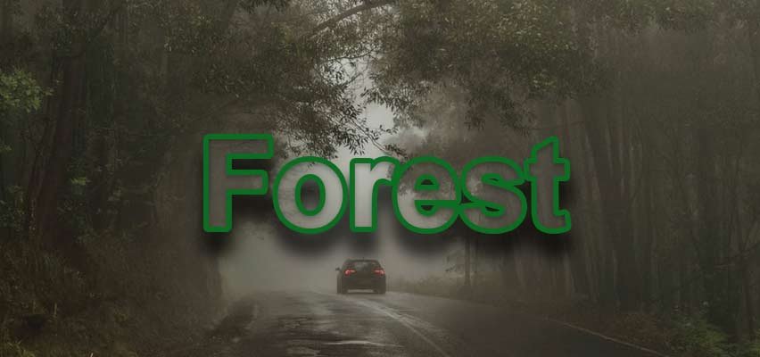 Forest text with Fill set to 50%