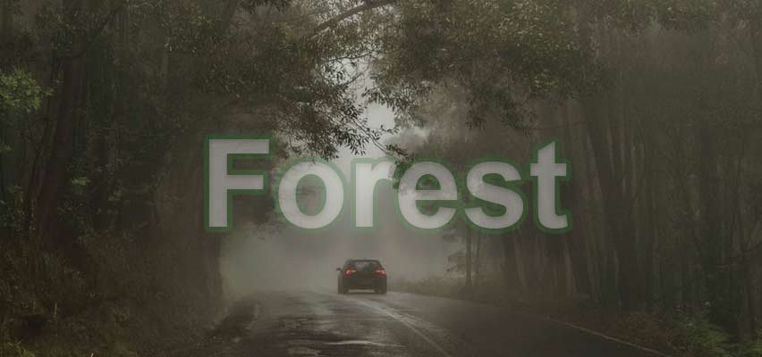 Forest text with opacity set to 50%